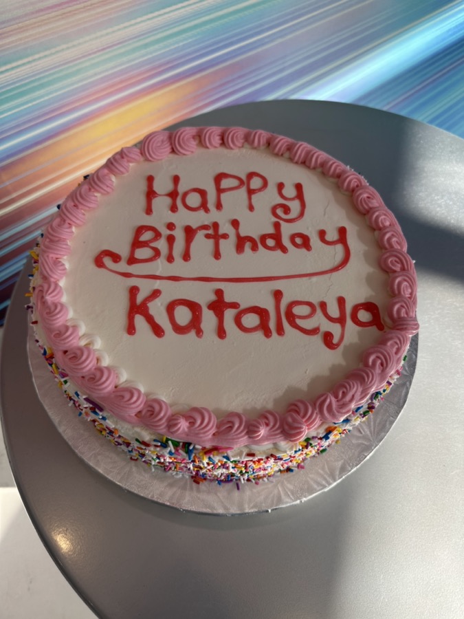 Ice cream cakes